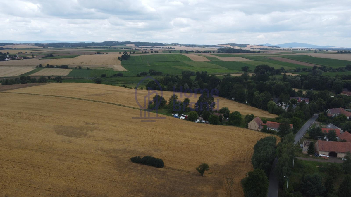Działka budowlana 1240 m² | Gębice - Widok 6
