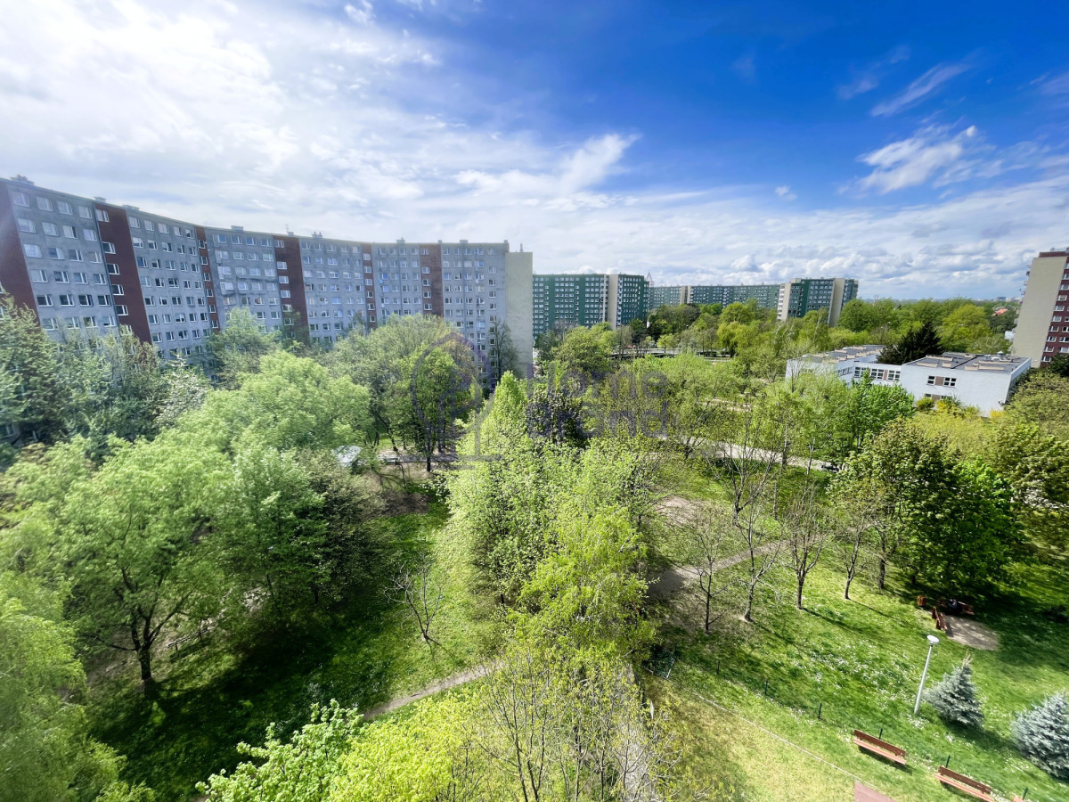 Mieszkanie dwupokojowe - 49,50 m² - Mehr
