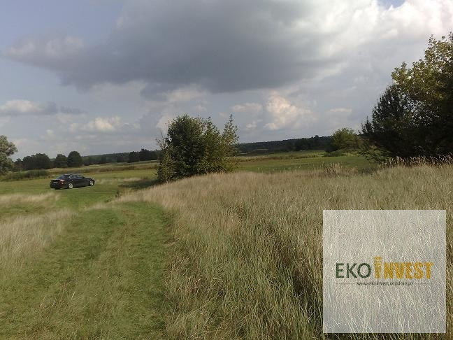 Sprzedam działkę z linią brzegową rzeki Narew - Widok 3