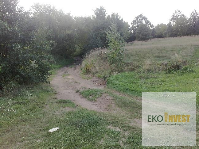 Sprzedam działkę z linią brzegową rzeki Narew - Widok 4