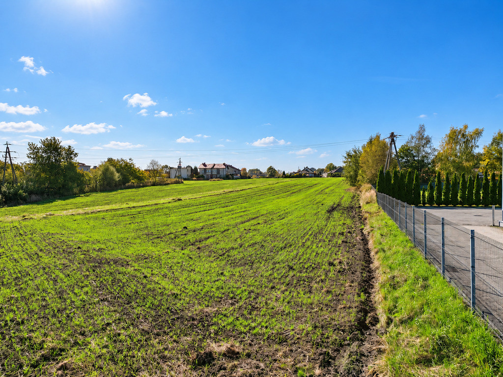 Działka 1467 m² – Mikołów, ul. Gliwicka - Widok 4