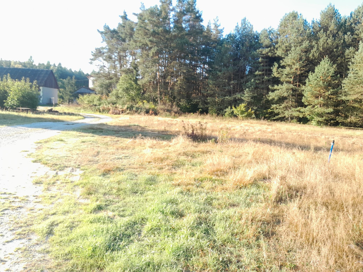 Atrakcyjna działka budowlana w Niwach tuż przy lesie - Widok 2