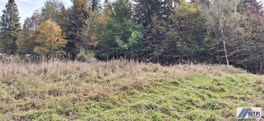 Widokowa działka pod lasem - Widok 4