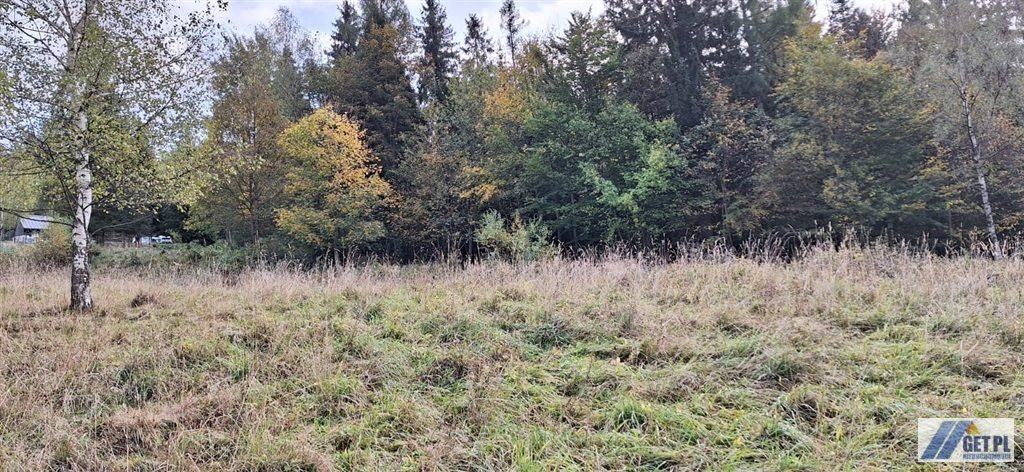 Widokowa działka pod lasem - Widok 5