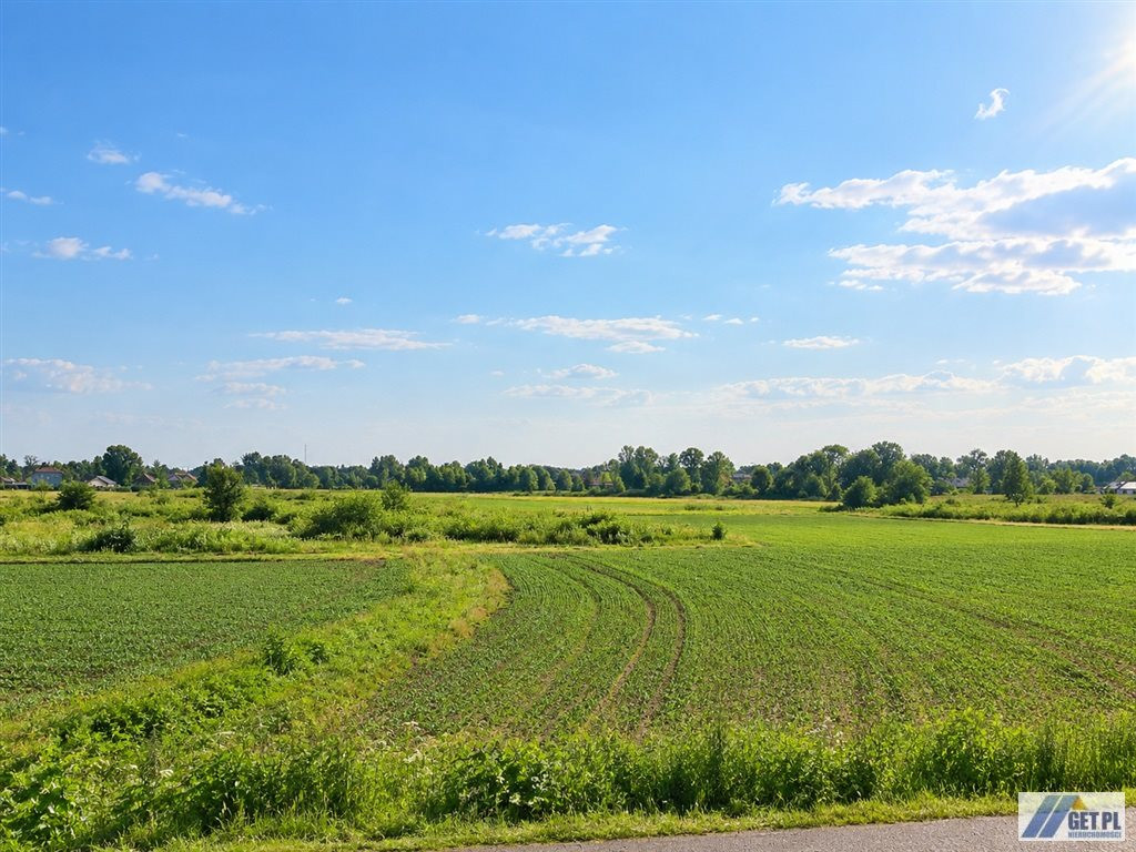 Wola Batorska, Niepołomice, grunt rolny ok. 2,5ha - Widok 5
