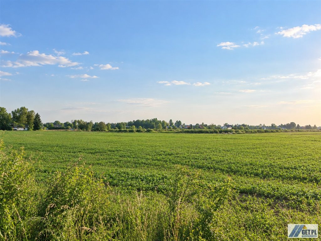 Wola Batorska, Niepołomice, grunt rolny ok. 2,5ha - Widok 4