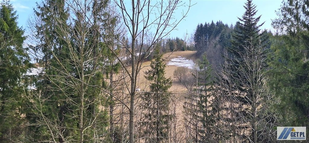 Zawoja - mała działka - wielki widok - Widok 6