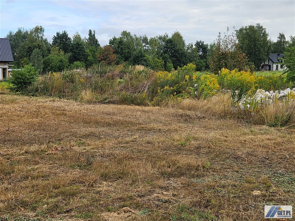 Kształtna działka z bardzo dobrym sąsiedztwem - Widok 5