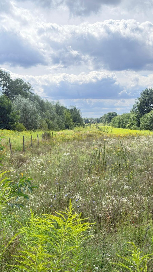 DZIAŁKA INWESTYCYJNA 1,48 HA | WZ DO 37 BUDYNKÓW | ŁÓDŹ, CHOJNY - Widok 2