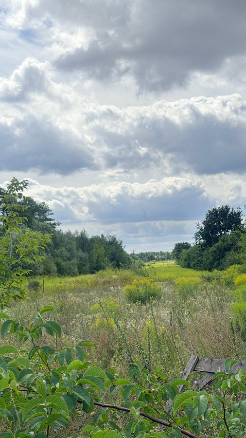 DZIAŁKA INWESTYCYJNA 1,48 HA | WZ DO 37 BUDYNKÓW | ŁÓDŹ, CHOJNY - Widok 3