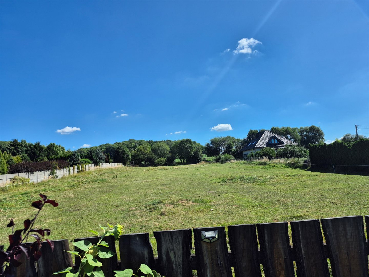 gratka-EURO-GS-557 - Widok 3