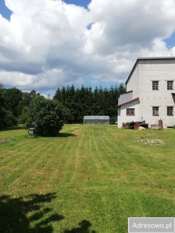 gratka-18231/3470/OGS - Widok 2