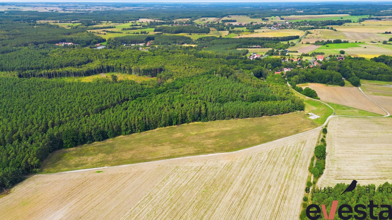 Działka usługowa 5,1 ha | Wołów | usługi publiczne - Widok 4