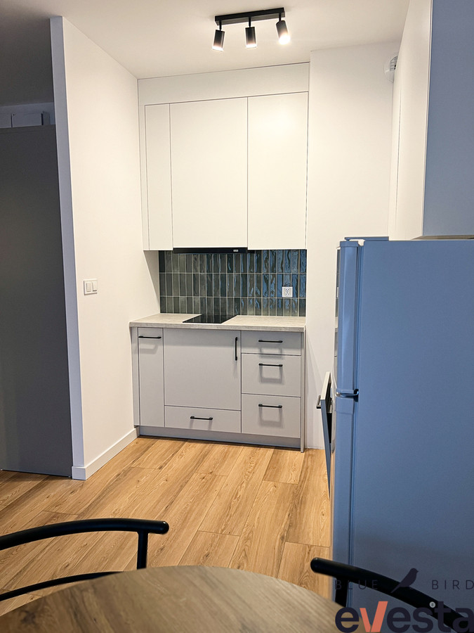 Apartment in Legnica - More