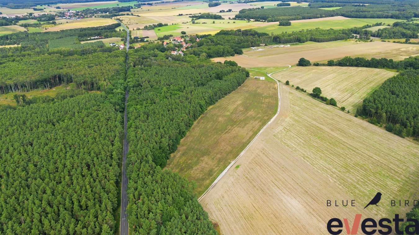 Działka usługowa 5,1 ha | Wołów | usługi publiczne - Widok 3