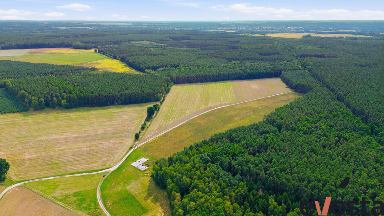 Działka usługowa 5,1 ha | Wołów | usługi publiczne - Widok 2