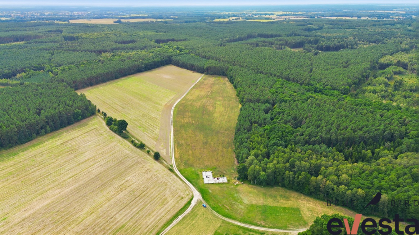 Działka usługowa 5,1 ha | Wołów | usługi publiczne - Widok 5