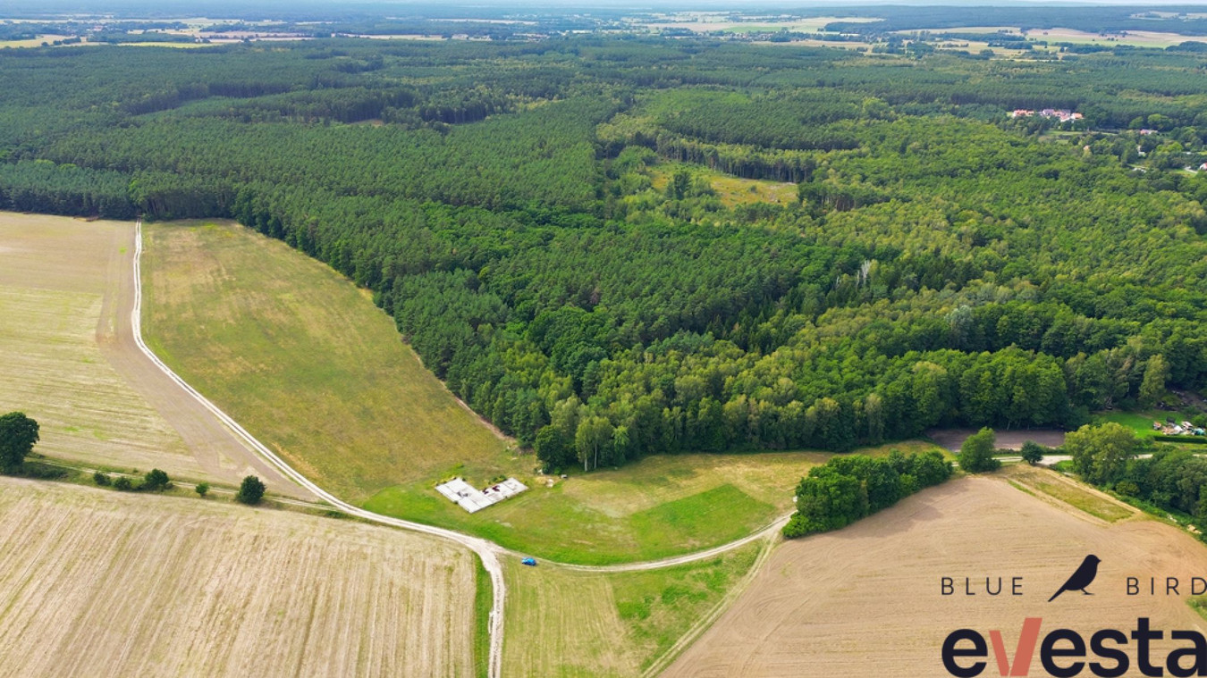 Działka usługowa 5,1 ha | Wołów | usługi publiczne - Więcej
