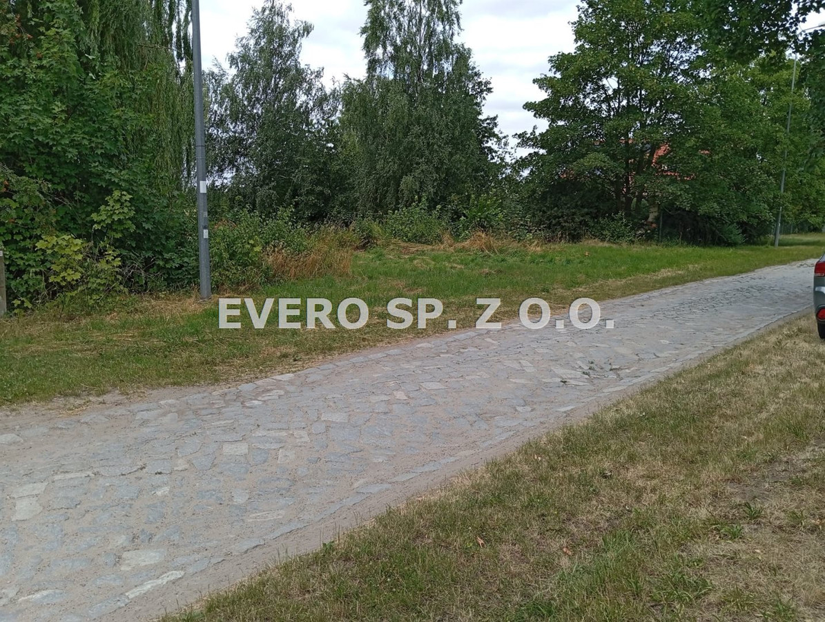 gratka-EVO-GS-38596 - Więcej