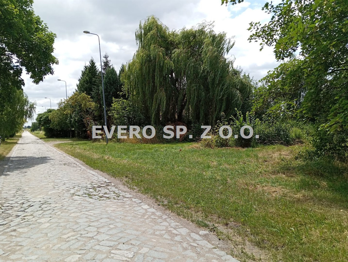 gratka-EVO-GS-38596 - Widok 2