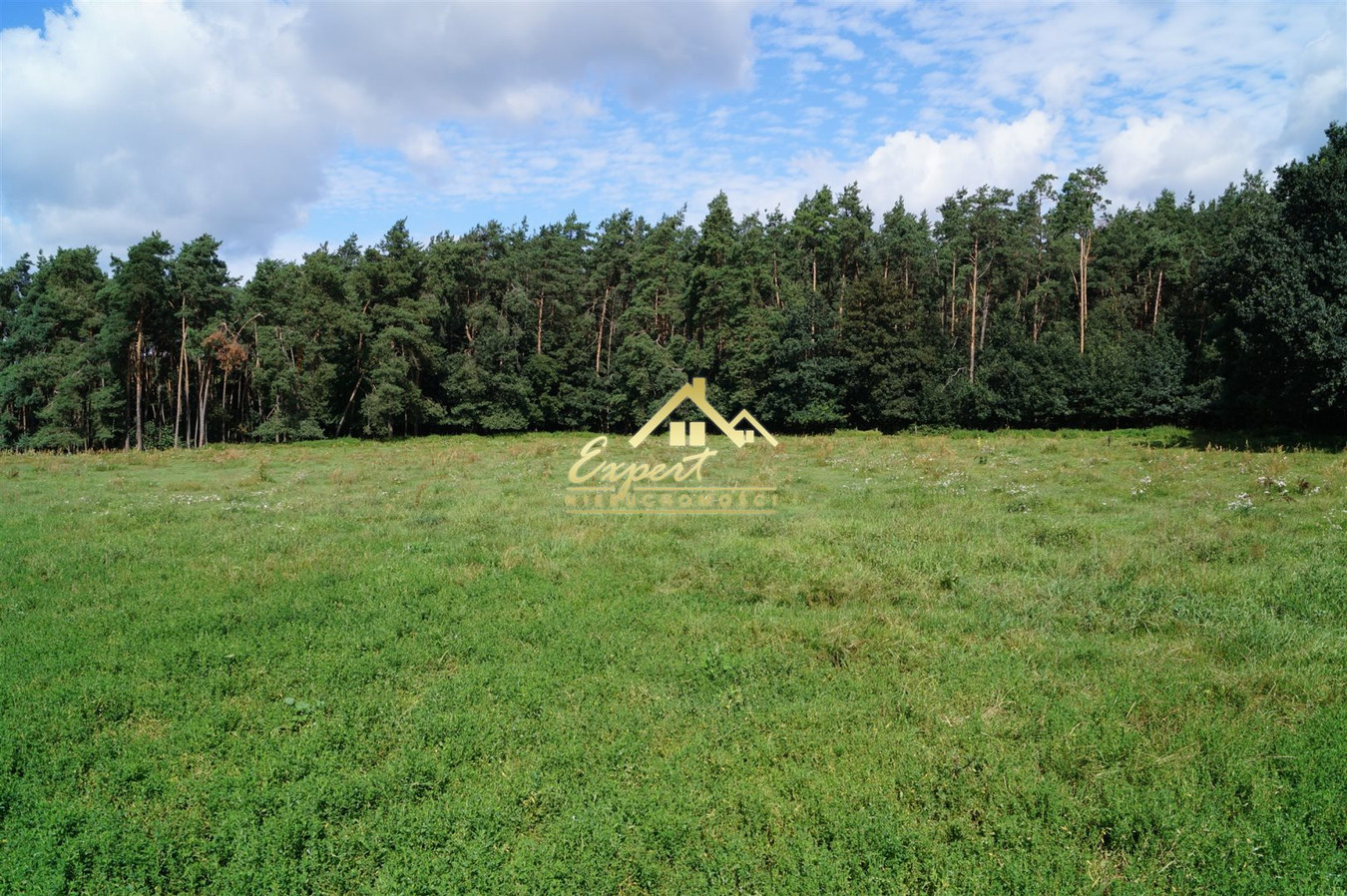 Sprzedam działki budowlane w obrębie jeziora - Widok 5