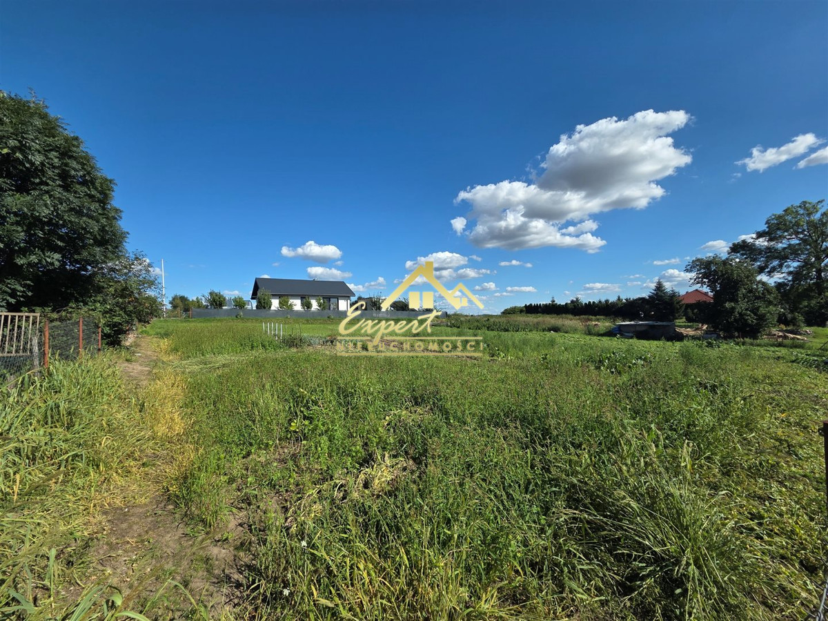 Turznica gm. Ostróda | 1605 m² - Widok 2