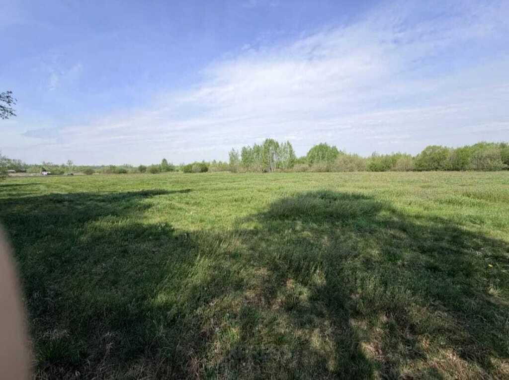 Działka z warunkami zabudowy w Kurianach - Widok 4