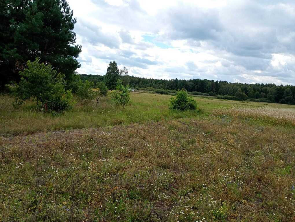 Duża działka blisko zalewu Siemianówka - Widok 2