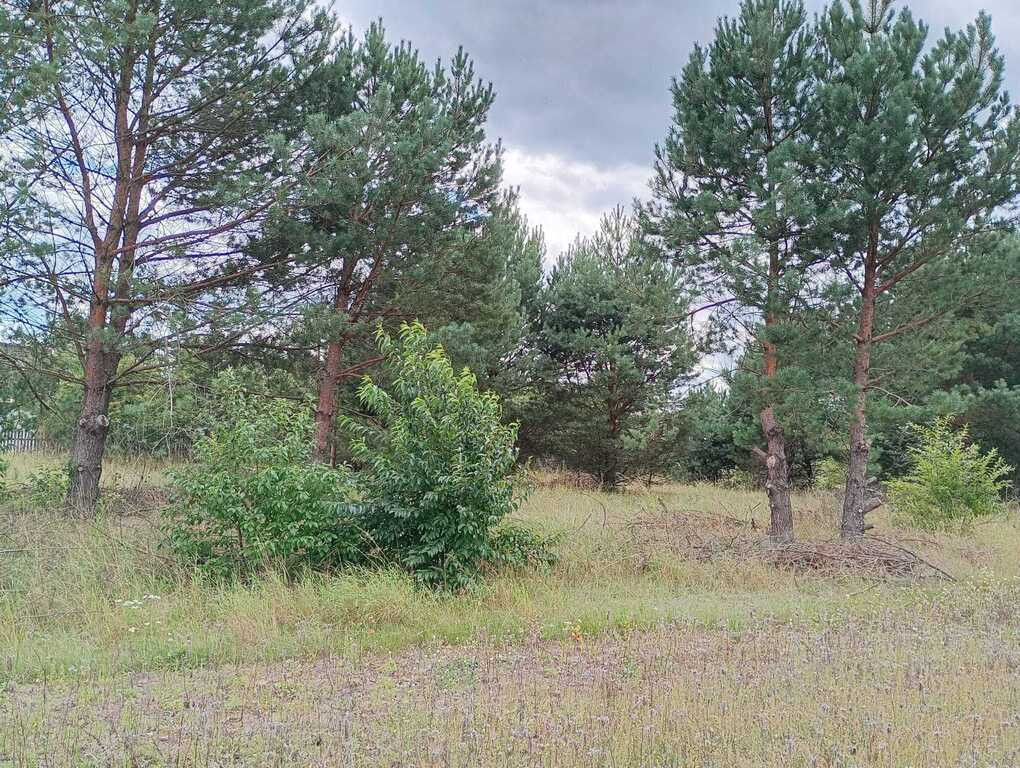 Duża działka blisko zalewu Siemianówka - Widok 3