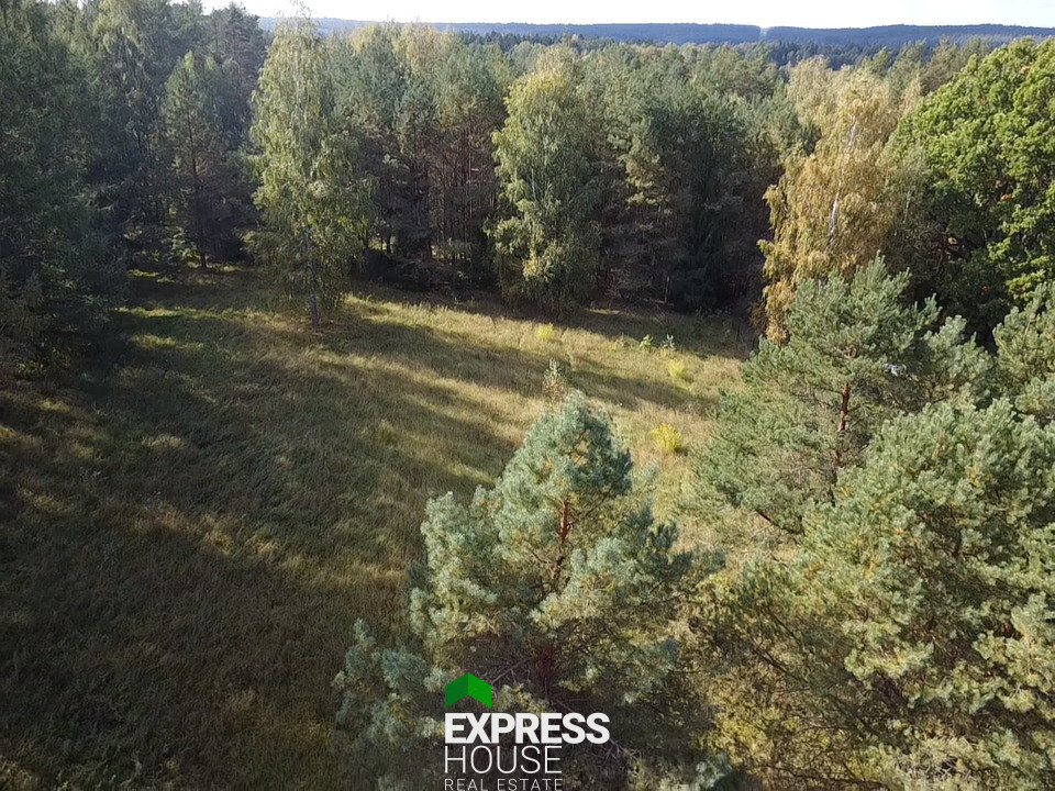 Działka 3014 m², Downiewo, częściowo zadrzewiona, przy lesie - Więcej