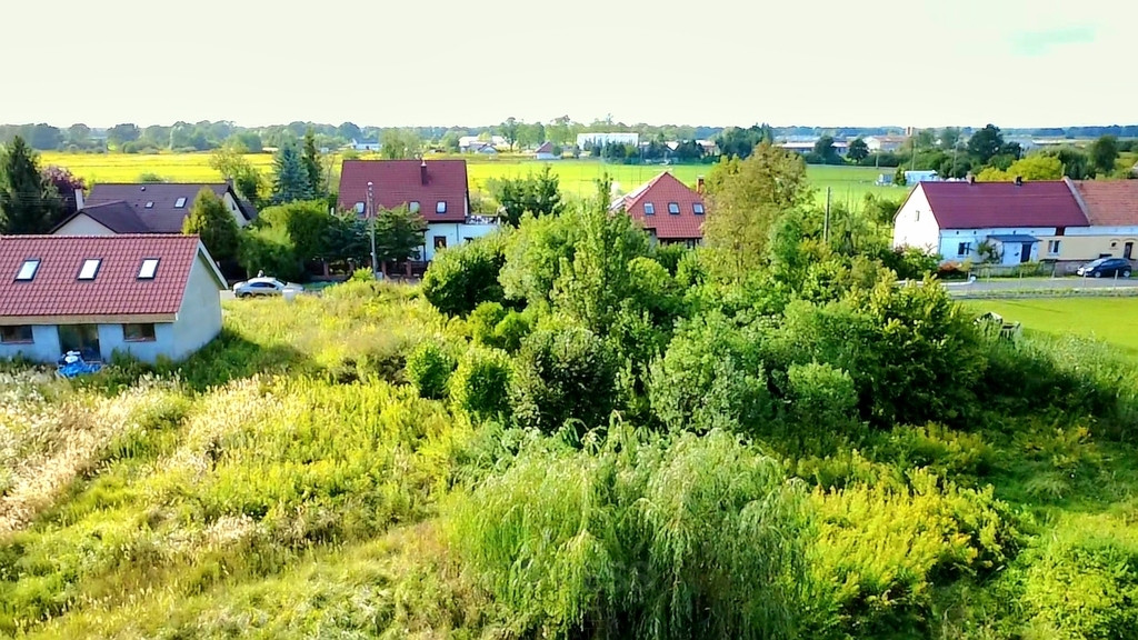 Atrakcyjna duża działka w Białkowie - Widok 4