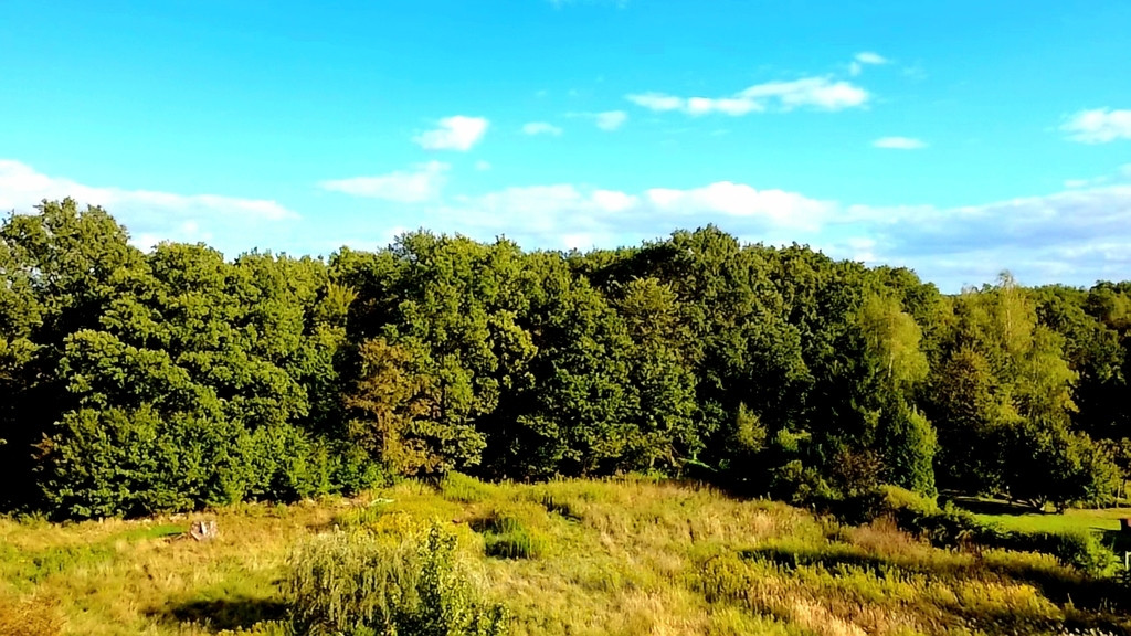 Atrakcyjna duża działka w Białkowie - Widok 2