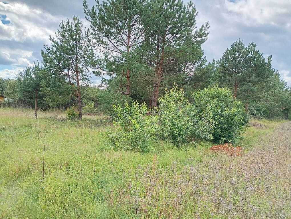 Duża działka blisko zalewu Siemianówka - Widok 4
