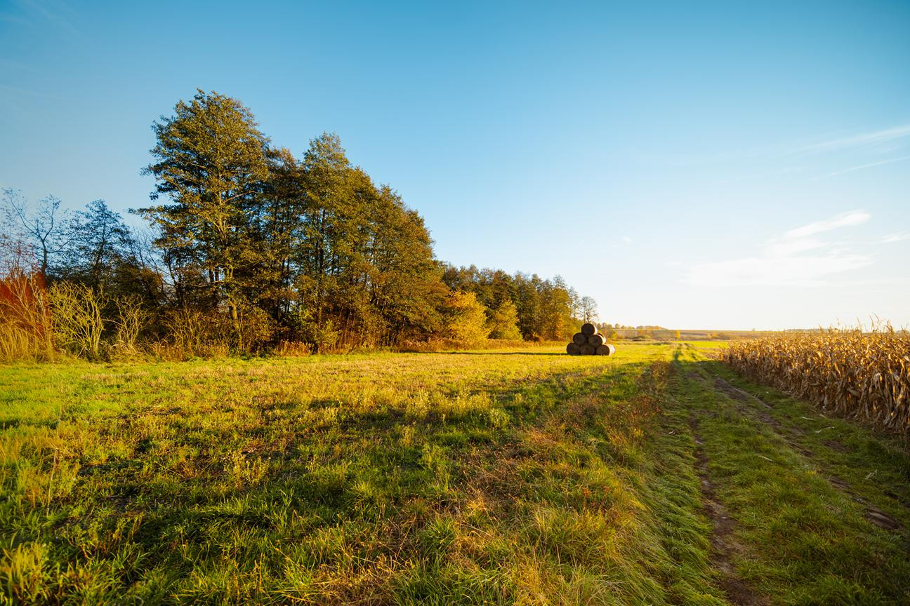 Twoje miejsce na ziemi – działki w otoczeniu natury - Więcej