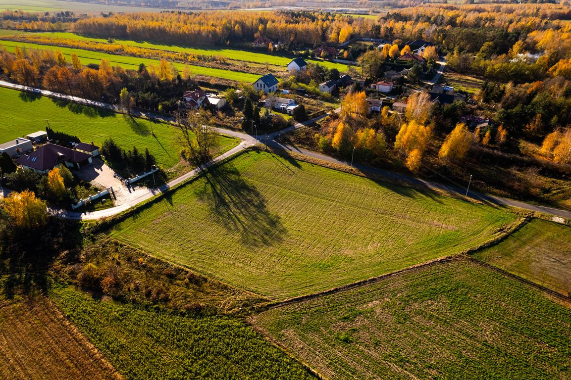 Działka 9 min od Zgierza w super cenie - Widok 5