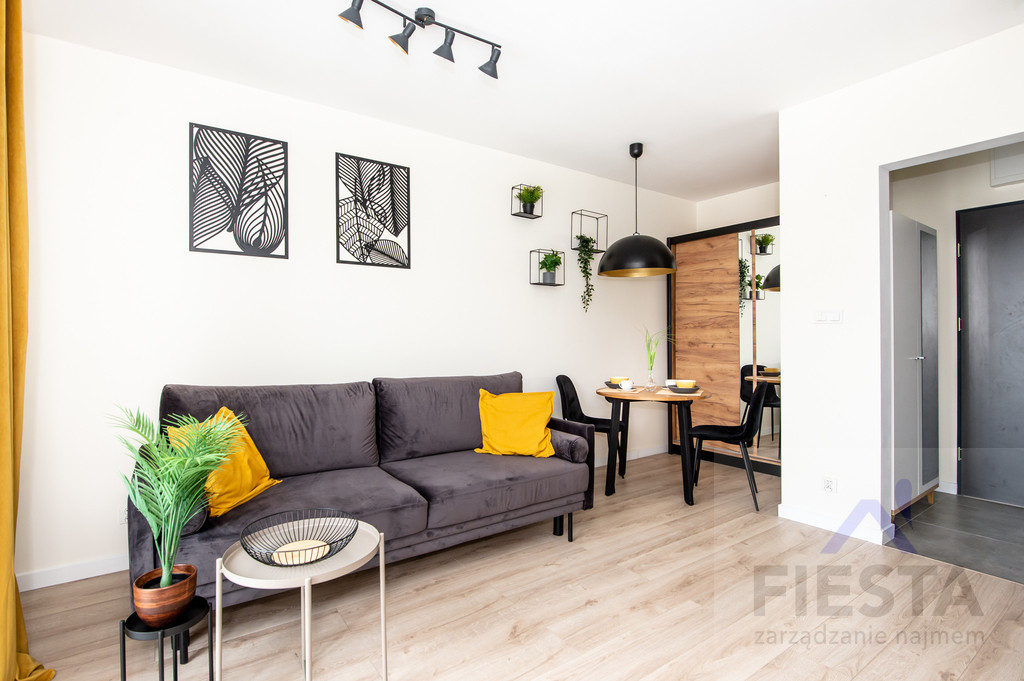 Apartment in Poznań, Osiedle Studenckie, Winiary - Widok 5