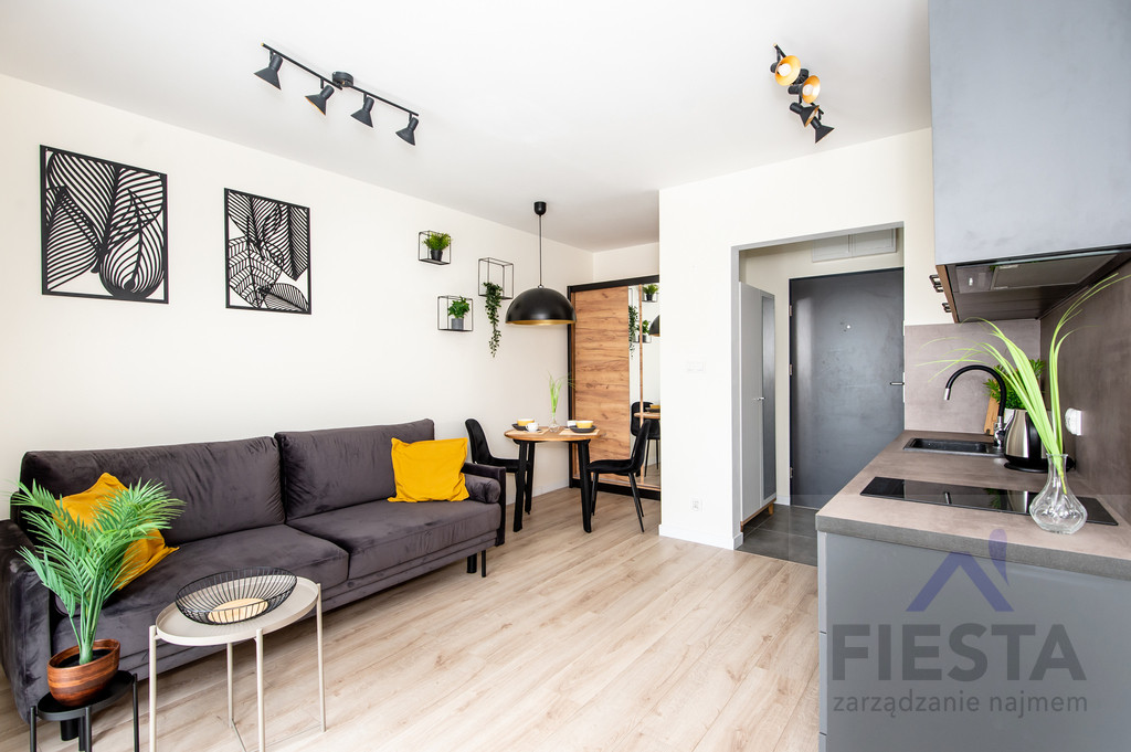 Apartment in Poznań, Osiedle Studenckie, Winiary - Widok 4