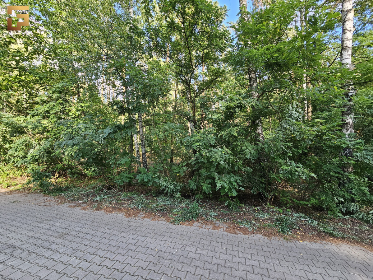 Działka budowlana / 1500 m² / las / SKM - Widok 3