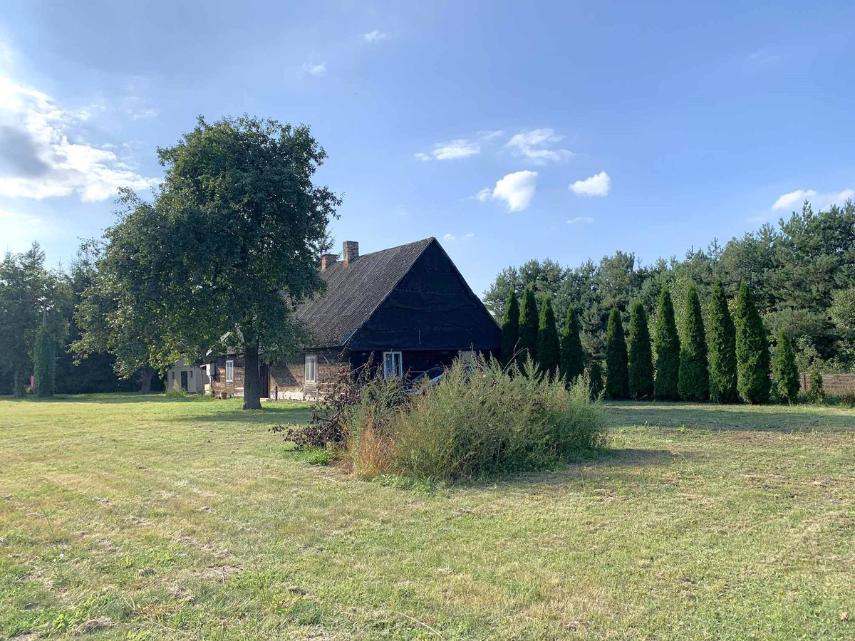 Dom – Grodziec, Czarnybród - Więcej
