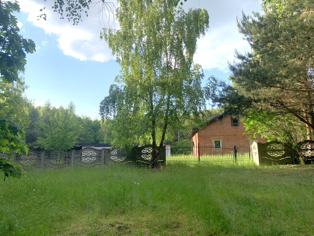 dom w środku lasu gm. Izbica Kujawska woj Kujawsko-Pomorskie - Widok 4