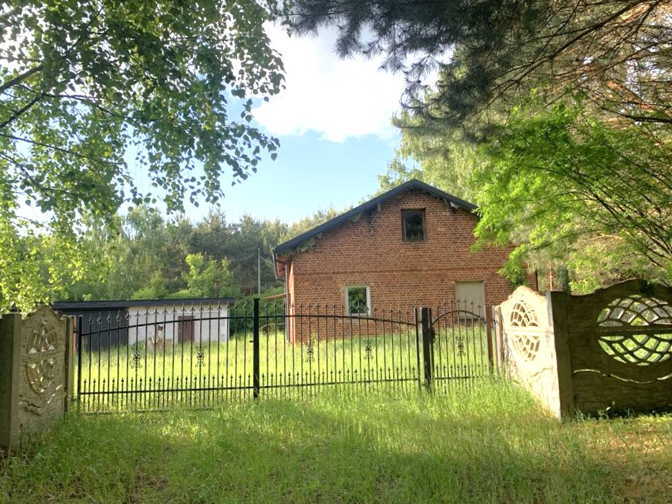 dom w środku lasu gm. Izbica Kujawska woj Kujawsko-Pomorskie - Widok 3