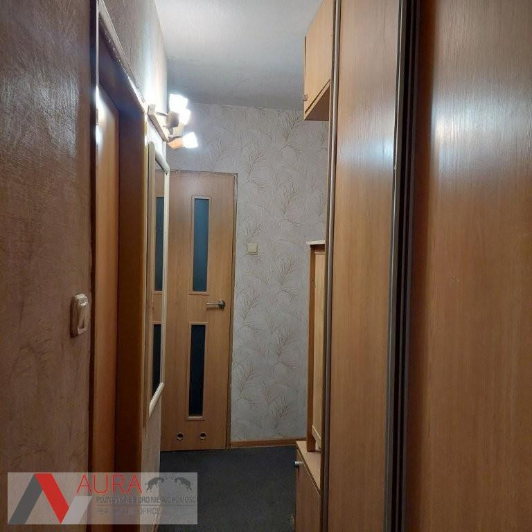 Apartment in Poznań, Rataje - Widok 4
