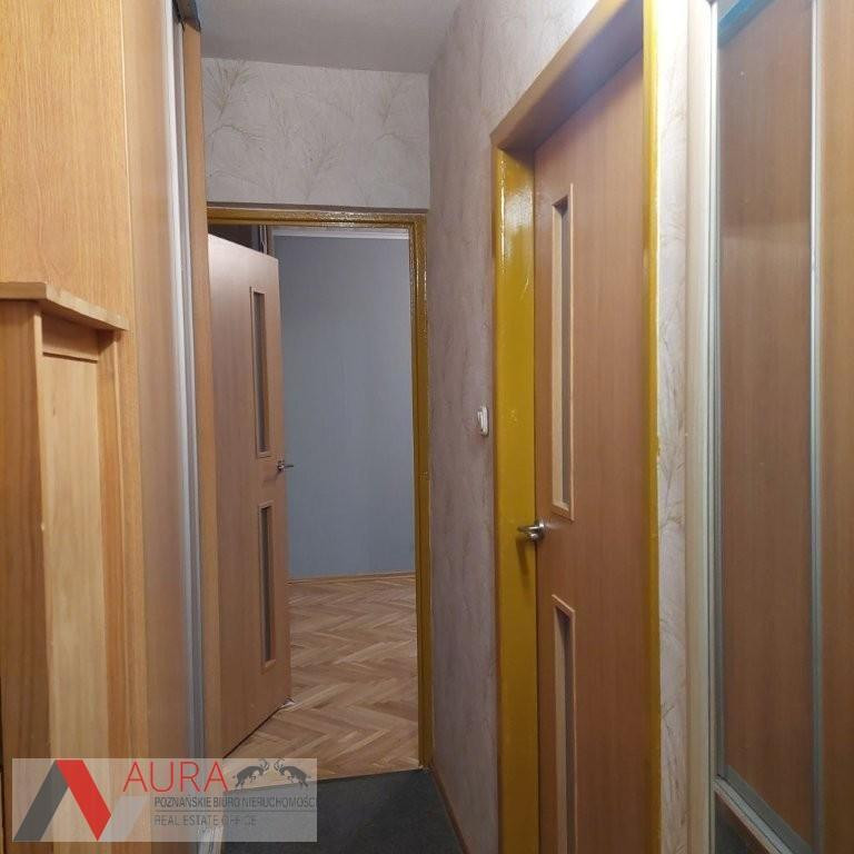 Apartment in Poznań, Rataje - Widok 3