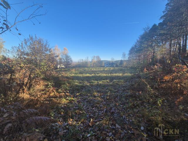 KORNATKA - BUDOWLANA - 19,26 AR - Widok 2
