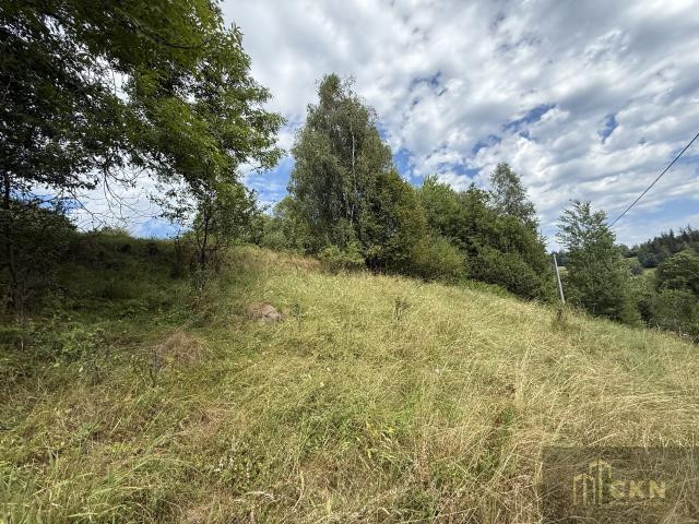 Dzialka budowlana blisko lasu - Widok 5