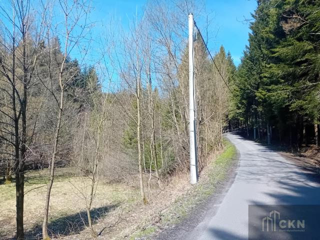 Działki rekreacyjne z potencjałem -pod lasem Zawoja - Widok 4