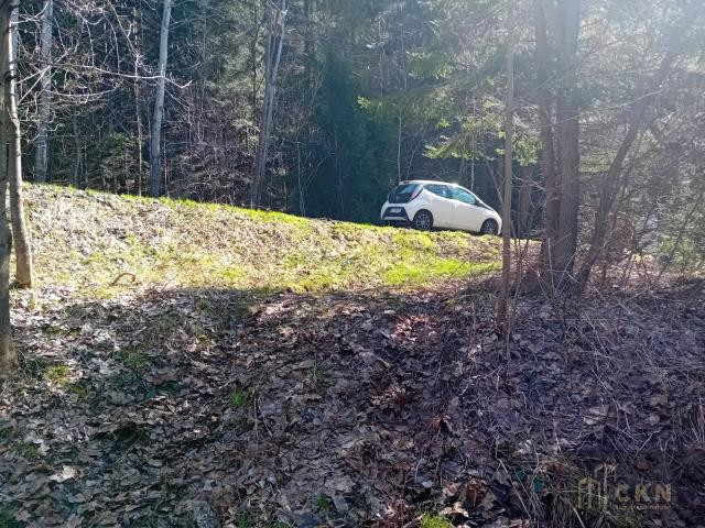 Działki rekreacyjne z potencjałem -pod lasem Zawoja - Więcej
