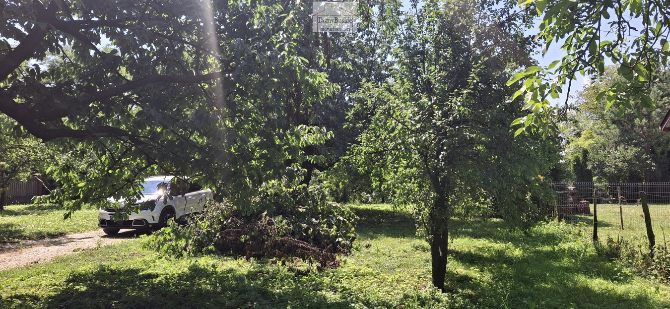 Dom z budynkami gospodarczymi i dużą działką, Żerniki Górne, 6 km od Busko-Zdrój - View 5