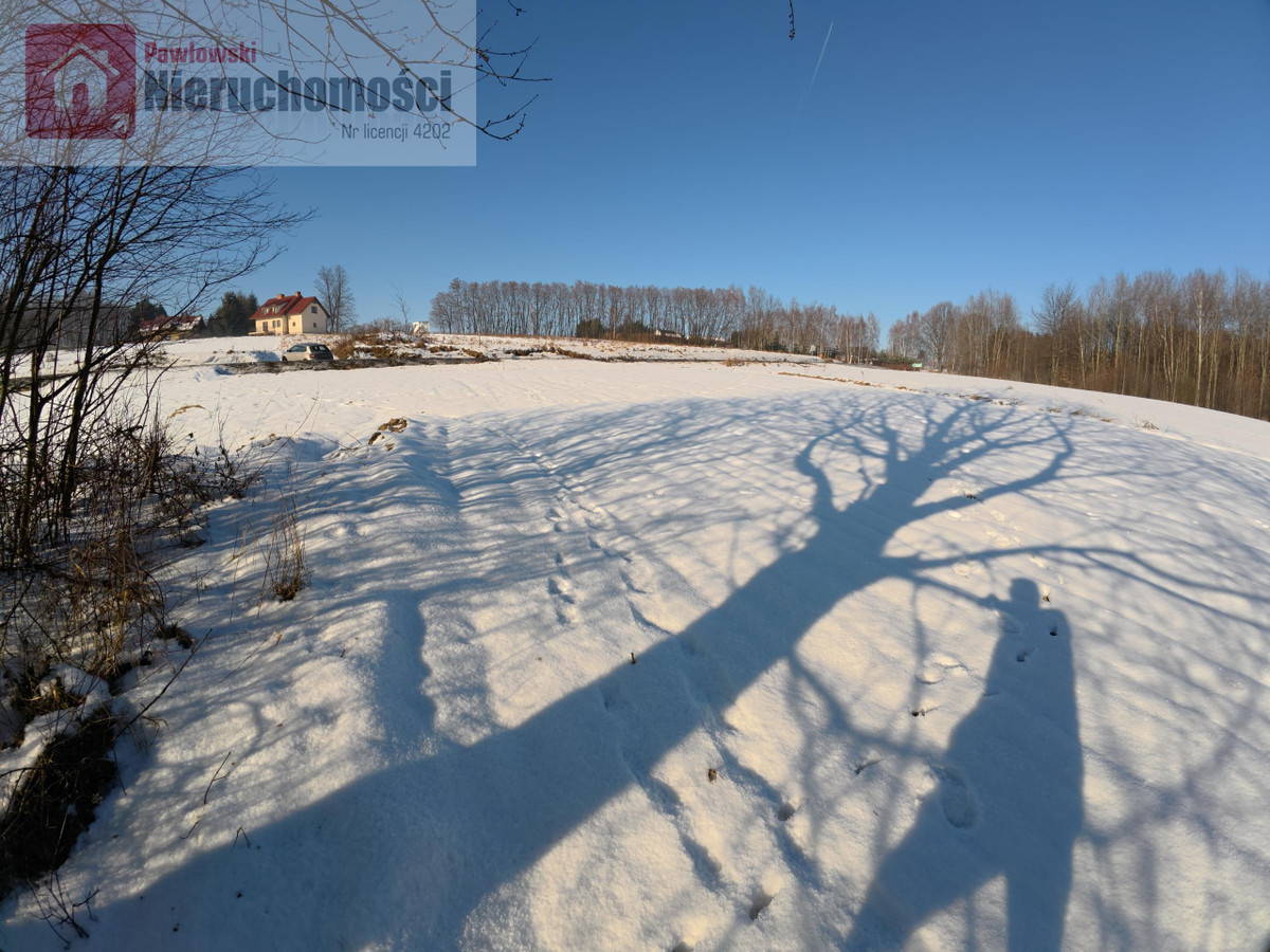 gratka-4062 - Widok 5