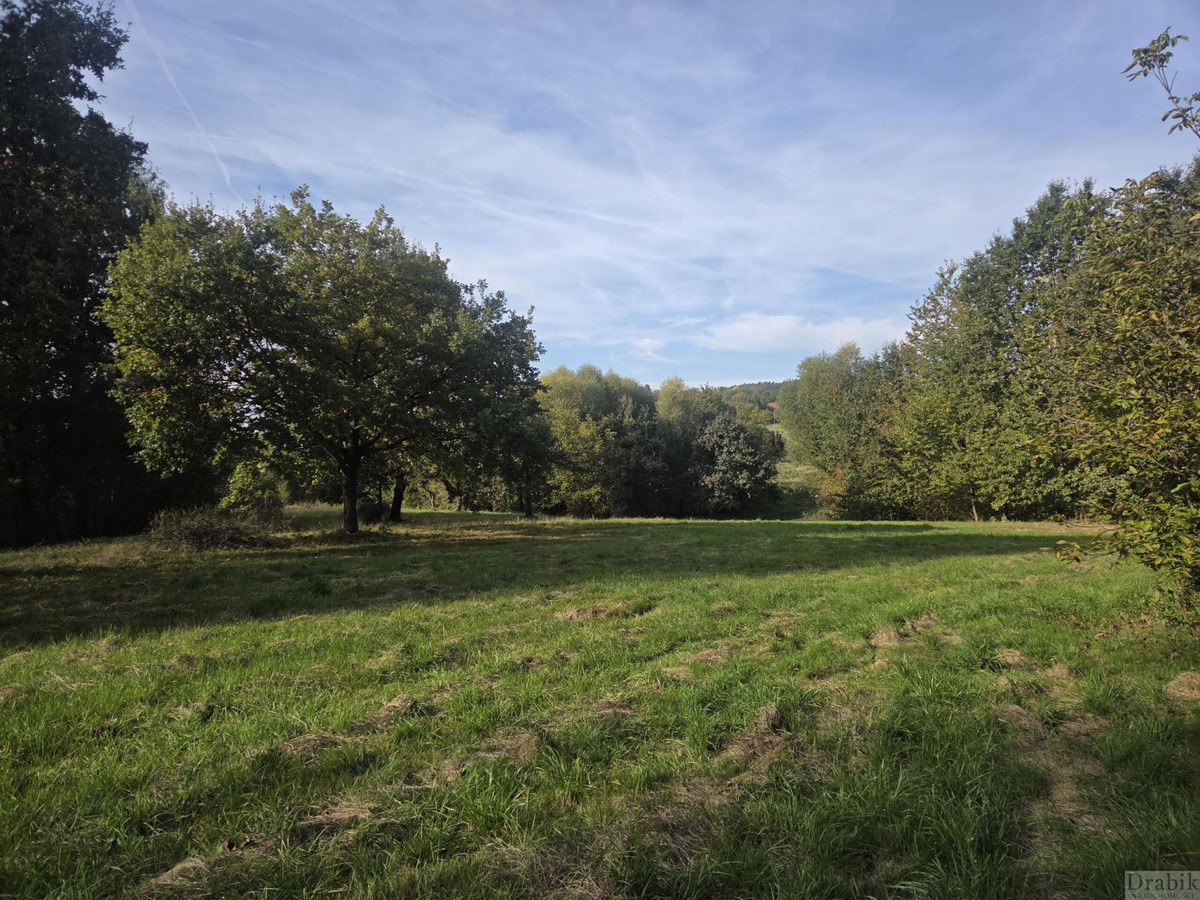 Uzbrojona działka budowlana w otoczeniu zieleni Mucharz - Widok 3